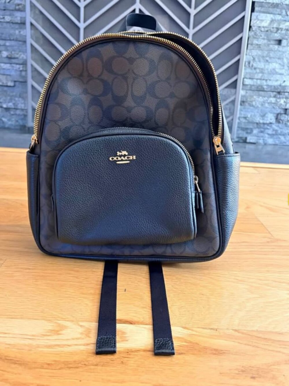 Coach Court Backpack in Signature Canvas